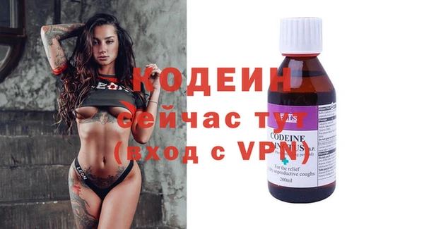 молекула духа Арсеньев