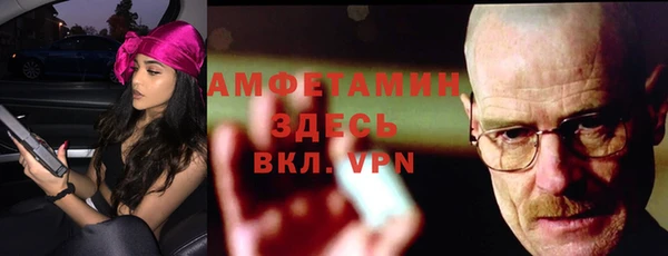 молекула духа Арсеньев