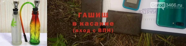 сатива Нязепетровск