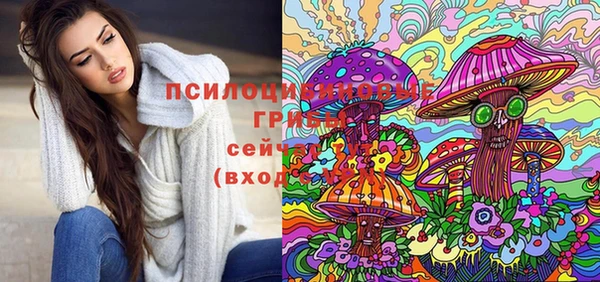 молекула духа Арсеньев