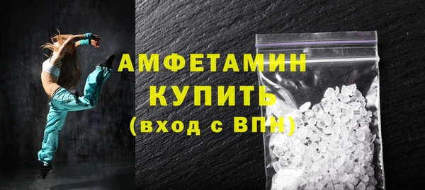 молекула духа Арсеньев