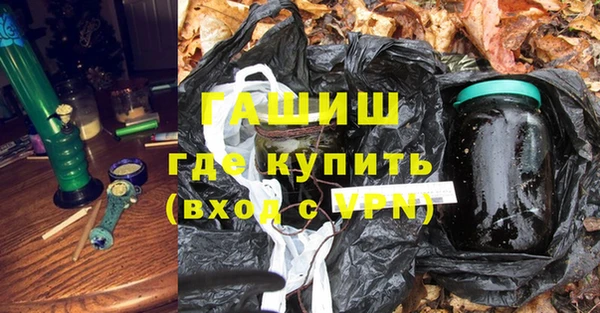 молекула духа Арсеньев