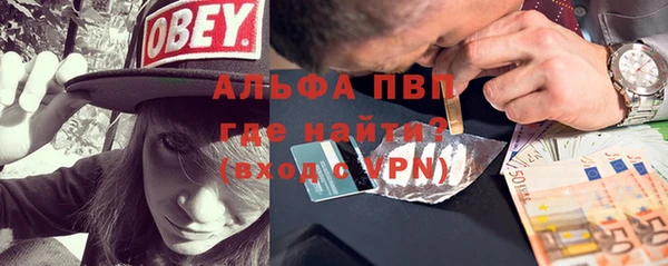 молекула духа Арсеньев