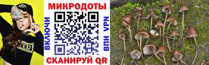 KRAKEN ТОР  Уржум  Галлюциногенные грибы MAGIC MUSHROOMS  darknet наркотические препараты  где найти  